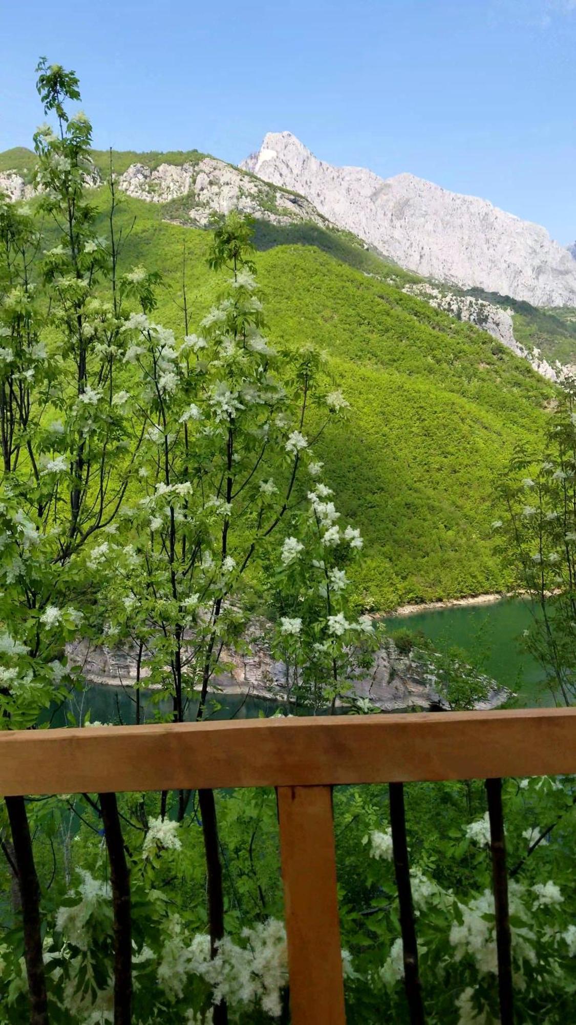 Twin Villas Komani Lake Exterior foto